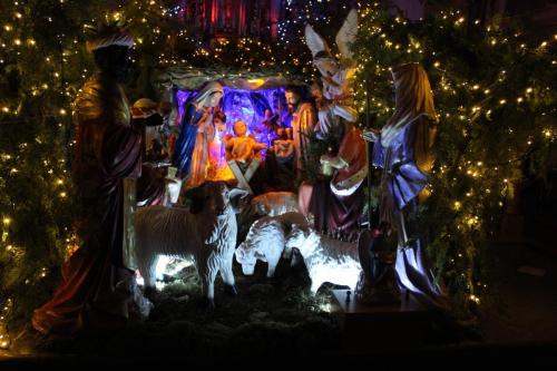 IMG 4922 (1)